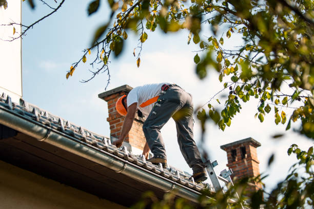 Best Metal Roofing Contractor  in Corcoran, CA